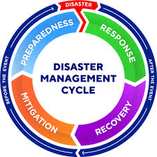 diserster life cycle